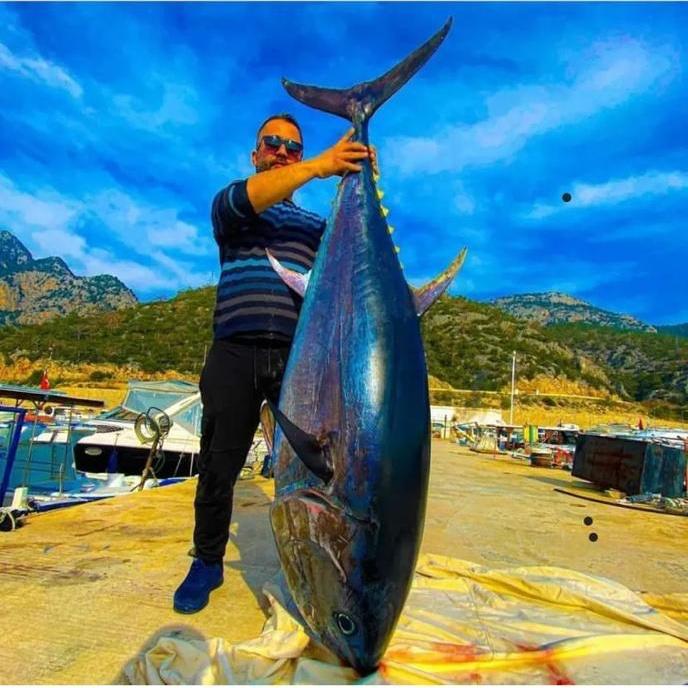 Antalya Büyük Balık Avı (Big Game Fishing) 2