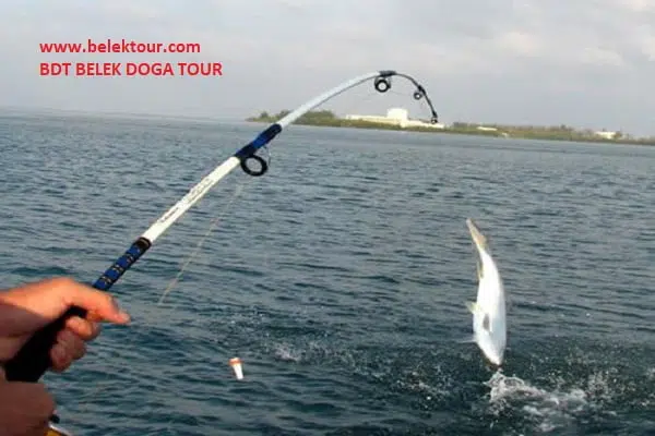 Angeltour im Meer (Antalya) 10