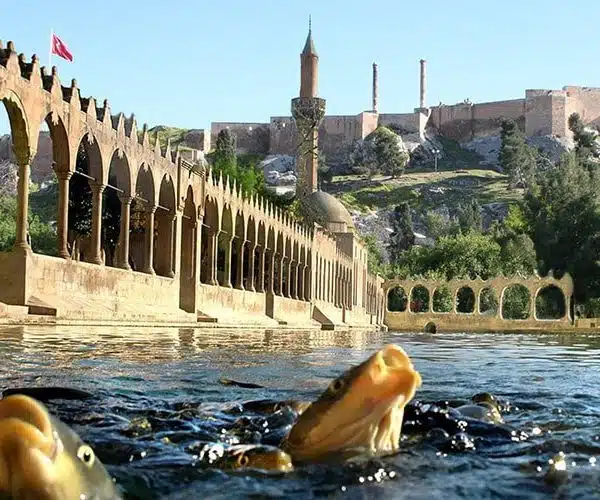 Göbeklitepe & Urfa Tour ab Antalya (mit Flug) 2