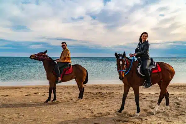 Pferdesafari - Reiten am Lara-Strand 4