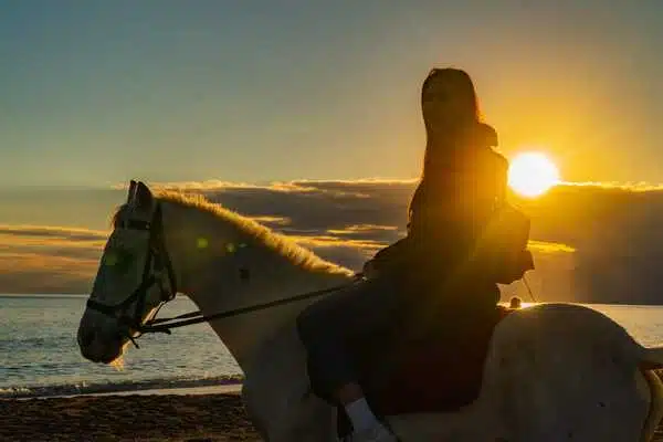 Pferdesafari - Reiten am Lara-Strand 5