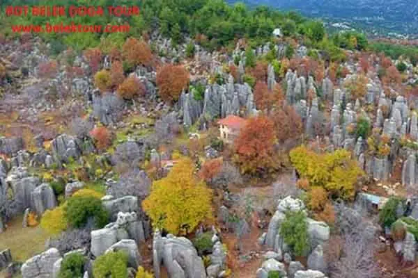 Tazı Kanyon - Adam Kayaları - Selge Antik Kenti 9
